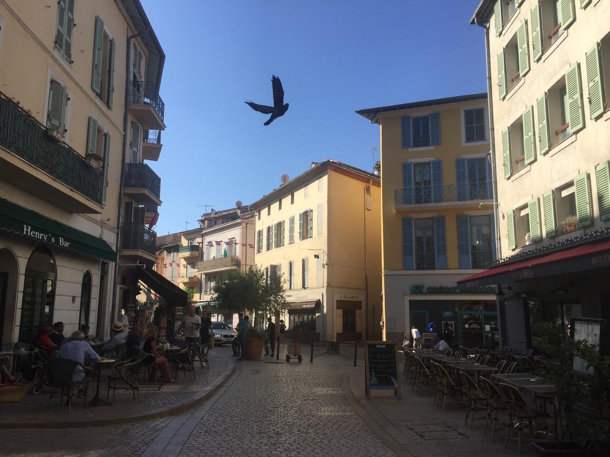 Villa Rocamar Vence Dış mekan fotoğraf