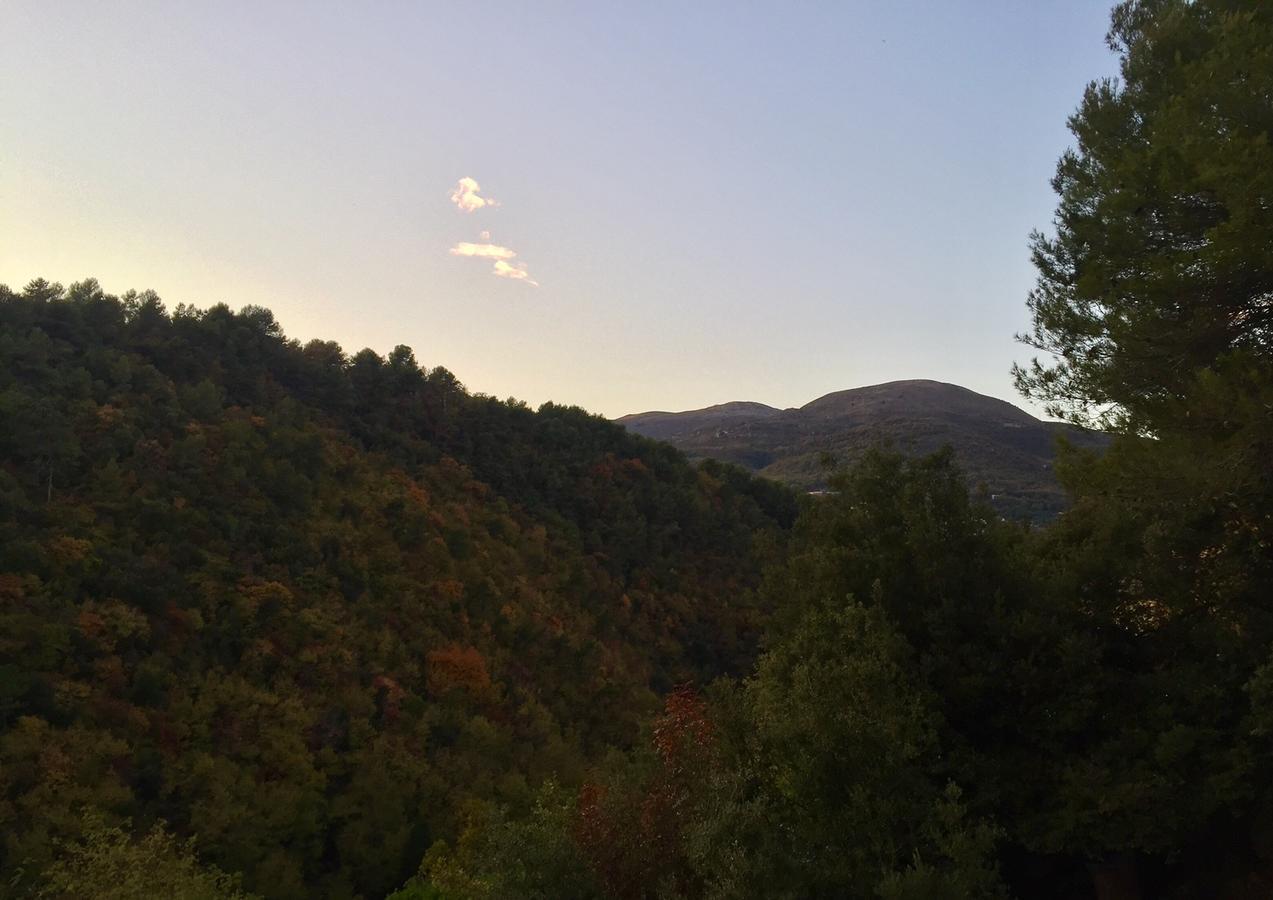 Villa Rocamar Vence Dış mekan fotoğraf